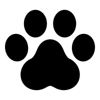 delphitools logo